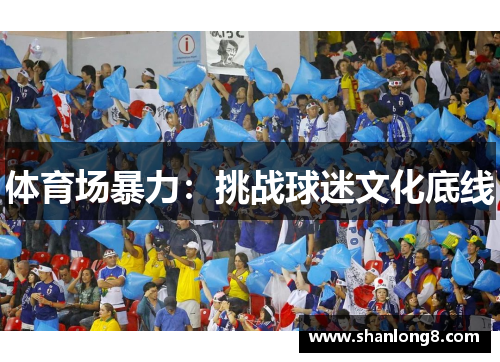 体育场暴力：挑战球迷文化底线