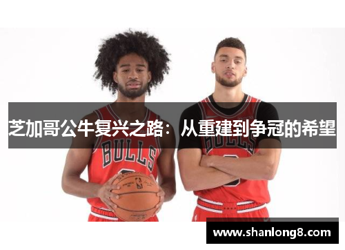 芝加哥公牛复兴之路:从重建到争冠的希望 芝加哥公牛复兴之路:从重建到争冠的希望
