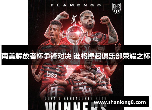 南美解放者杯争锋对决 谁将捧起俱乐部荣耀之杯