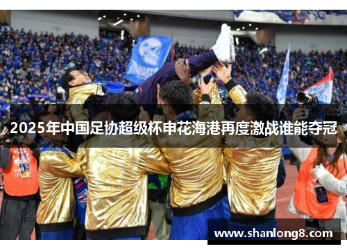 2025年中国足协超级杯申花海港再度激战谁能夺冠