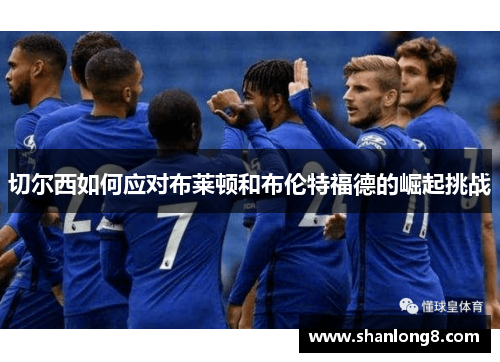 切尔西如何应对布莱顿和布伦特福德的崛起挑战